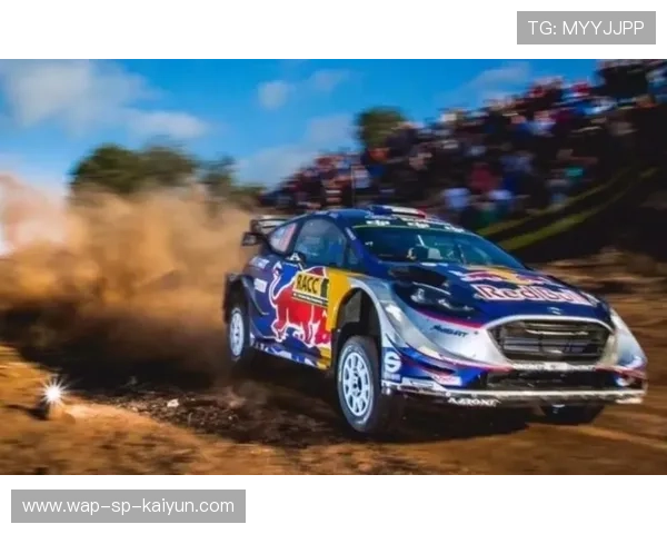 WRC紧张排位：谁能占据有利位置？，wrc比赛规则